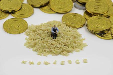 国内棉花交易期货(国内棉花交易期货行情)